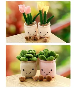 Detailed shots of cute plush tulip and succulent potted plants on a wooden table