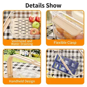 Large capacity portable picnic food storage box with handle, drainage tray and ice packs