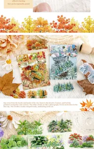 Vue détaillée d'autocollants PET sur le thème de la forêt pour le scrapbooking