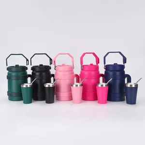 Set assortito di borracce termiche e bicchieri con cannuccia in cinque colori opachi