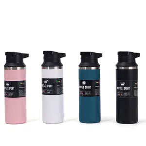 Collection of four stainless steel insulated sports water bottles in various colors