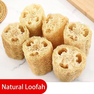 Set van 6 natuurlijke loofah sponsen voor milieuvriendelijk afwassen en reinigen.