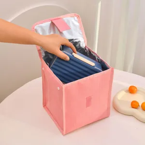 Detailed shot of a hand placing a blue lunchbox into a pink insulated Oxford bento bag