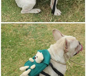Close-up of green pet dog backpack with plush bear ornament on French Bulldog