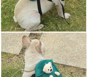 Close-up of a stylish green pet backpack with a cute teddy bear on a French Bulldog.
