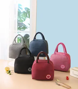 Group of five colorful insulated lunch bags displayed with fresh food props.