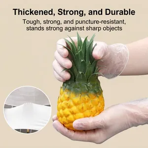 Gants jetables en TPE épais et durables pour la cuisine avec résistance aux pointes.