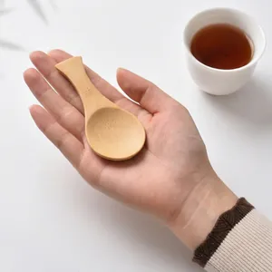 Mini natural bamboo tea spoon with short handle held in hand for scale and size reference