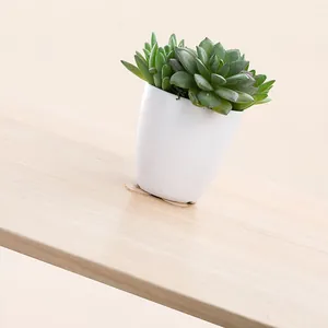 Sterke, spoorloze nano-kleefstippen met hoge viscositeit voor bloempotten op hout.