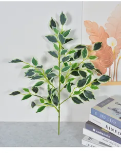 Vue détaillée d'une branche de banyan artificielle aux feuilles vertes et blanches