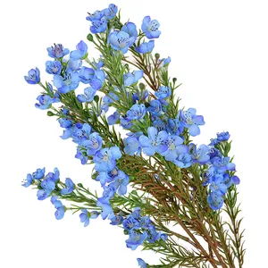 Naturgetreuer blauer künstlicher australischer Wachsblumen-Zweig für Haus und Hochzeit