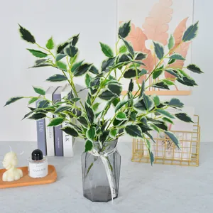 Branches de ficus artificielles vertes avec feuilles à bords blancs dans un vase en verre