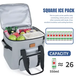 Große graue isolierte Picknicktasche für Camping, hält Speisen frisch und kühl