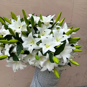 Close-up of white artificial 3D lilies with realistic petals and buds for home decor.