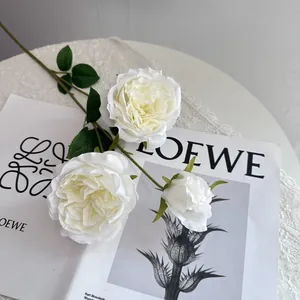 Detail of white artificial Austin roses on a stylish magazine background.