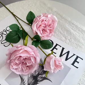 Detailed close-up view of delicate pink silk Austin roses on a white lace background.