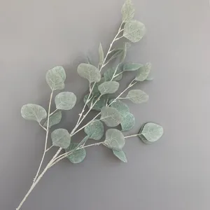 Detailweergave van de realistische texturen van de eucalyptusbladeren in groen decor.