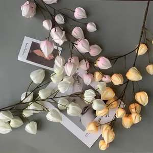 Vue détaillée de branches de fruits de lanterne en mousse artificielle pour déco
