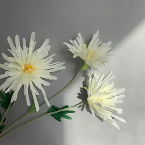 Nahaufnahme einer dreiköpfigen weißen künstlichen Krallen-Chrysantheme für die Deko