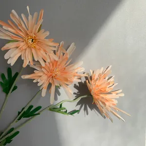 Nahaufnahme von künstlichen Krallen-Chrysanthemen mit drei Köpfen unter Sonnenlichtschatten.