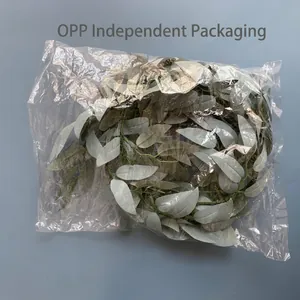 Detailed view of artificial willow leaf vine greenery in individual OPP plastic packaging