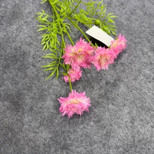 Nahaufnahme einer 5-köpfigen rosa künstlichen Kornblume für elegante Heimdekoration.