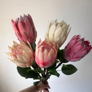 Vista macro detallada de flores de Protea Real artificiales flocadas en varios colores