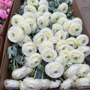 Detailed macro view of white flocked 2-head ranunculus artificial flowers for home decor.