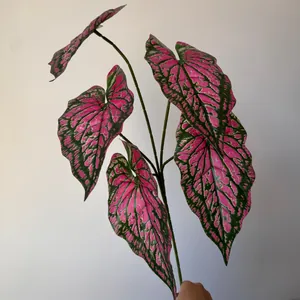 Close-up of artificial Caladium leaves showing realistic 3D printed pink and green textures.