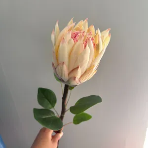 Primer plano de una flor de protea flocada realista con pétalos amarillos y rosas