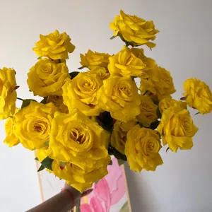Detailed macro shot of bright artificial yellow roses featuring realistic water droplets