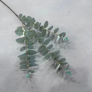 Realistic artificial eucalyptus branch with soft green money leaves on a grey background.