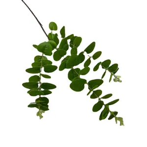 Realistic 3D printed artificial eucalyptus branch with green leaves on white background