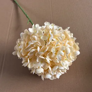 Detailansicht einer champagnerfarbenen künstlichen Hortensie auf braunem Kartonhintergrund.