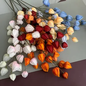 Branche de Fruits de Physalis Artificiels Baies de Mousse pour Mariage Maison Décoration Accessoire de Photographie Arrangement Floral