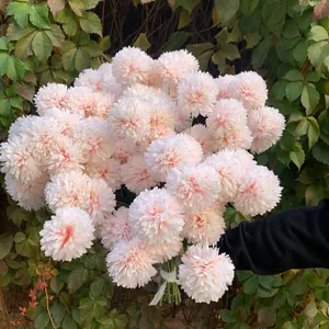 Large artificial pink ball chrysanthemum bouquet for wedding party floral decoration