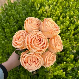 Primo piano di un bouquet di 7 rose artificiali color pesca con petali stratificati