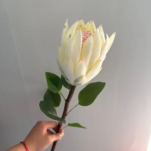 Detalle de una flor de Protea real artificial floccada con una textura muy realista