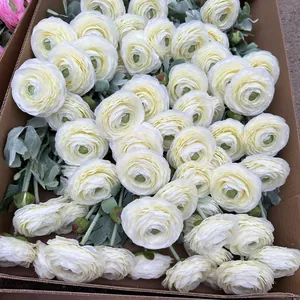 Close-up detail of bulk cream flocked ranunculus artificial flowers stored in a box.