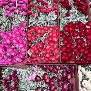 Top view of multi-colored flocked 2-head artificial Ranunculus flowers in boxes