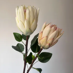 Primer plano de flor artificial de Protea Real blanca flocada con puntas rosas
