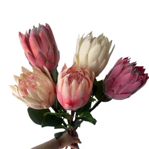 Elegantes flores de Protea real artificiales flocadas en colores para decoración