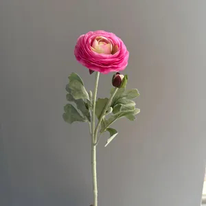 Detailed view of a pink flocked ranunculus stem with a blooming flower and bud.