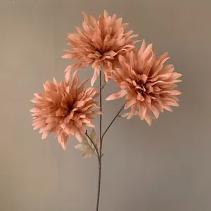 Vue détaillée de chrysanthèmes de feu artificiels à trois têtes dans un ton terre cuite