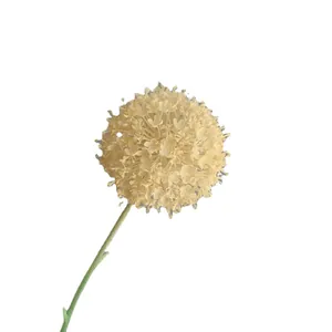 Künstliche champagnerfarbene Pomponblume für Hochzeitsdeko auf weißem Hintergrund.
