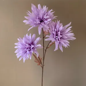 Gros plan d'un chrysanthème flamme violet à 3 têtes avec des pétales réalistes.