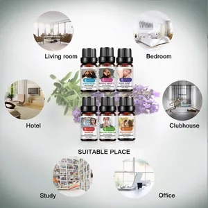 Detailed display of six essential oil bottles with vignettes of various usage scenarios