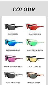 Selection chart showing various color options for polarized sport cycling sunglasses