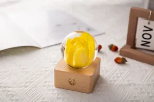 Close-up of yellow tulip specimen preserved in a crystal glass sphere on wood base