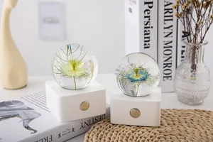 Elegant Nigella flower specimen crystal ball night light on a decorative setup.